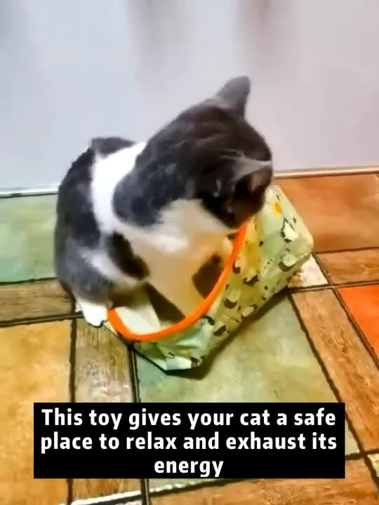 Cat Tunnel Bag